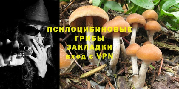 дурь Бугульма