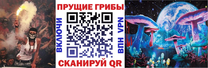 Псилоцибиновые грибы GOLDEN TEACHER  Старица 